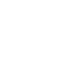 Icone - Car Wash